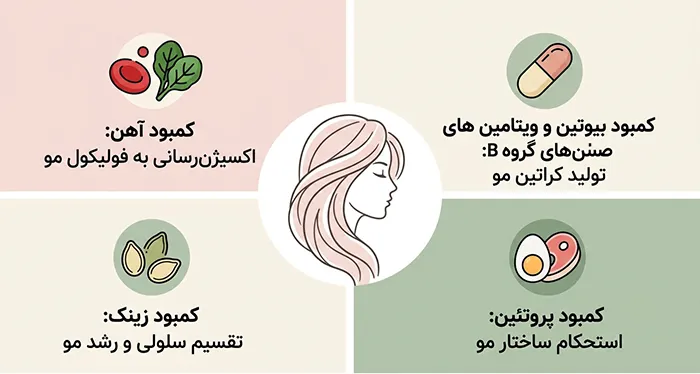 ترکیبات کلیدی در بهترین قرص ضد ریزش مو برای زنان